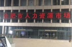 安徽人才市场,汇聚英才,助力区域经济发展